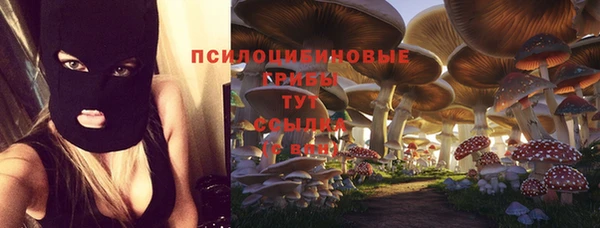 первитин Заволжье